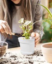 Load image into Gallery viewer, Pots for Plants, 15 Pack 6 inch Plastic Planters with Multiple Drainage Holes and Trays - Plant Pots for All Home Garden Flowers Succulents (White)