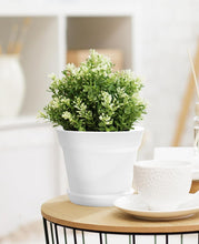 Load image into Gallery viewer, Pots for Plants, 15 Pack 6 inch Plastic Planters with Multiple Drainage Holes and Trays - Plant Pots for All Home Garden Flowers Succulents (White)