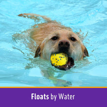 Load image into Gallery viewer, Dog Balls Tennis Ball Toys Dog Toys for Aggressive Chewers Durable Teething Chew Toys Water Toy Fetch Balls for Large Medium Small Dog and Puppies (4 Balls)