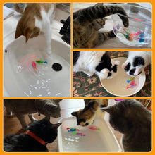 Load image into Gallery viewer, Interactive Robot Fish Toys for Cat/Dog(6 Pcs), Activated Swimming in Water with LED Light, Swimming Bath Plastic Fish Toy Gift to Stimulate Your Pet's Hunter Instincts