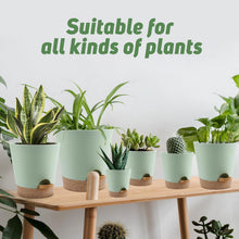 Load image into Gallery viewer, Indoor Self Watering Planters with Drainage Holes and Saucers, 8, 7, 6.5, 6, 5.5, 5 Inches, Green, 6 Pots
