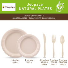 Load image into Gallery viewer, Some disposable paper plates