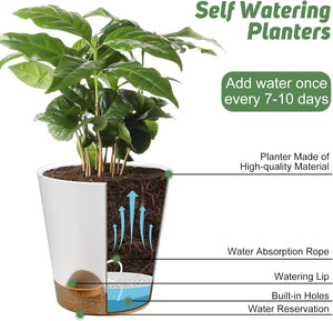 Indoor Self Watering Planters with Drainage Holes and Saucers, 8, 7, 6.5, 6, 5.5, 5 Inches, Green, 6 Pots