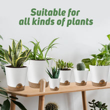 Load image into Gallery viewer, Indoor Self Watering Planters with Drainage Holes and Saucers, 8, 7, 6.5, 6, 5.5, 5 Inches, Green, 6 Pots
