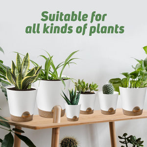 Indoor Self Watering Planters with Drainage Holes and Saucers, 8, 7, 6.5, 6, 5.5, 5 Inches, Green, 6 Pots