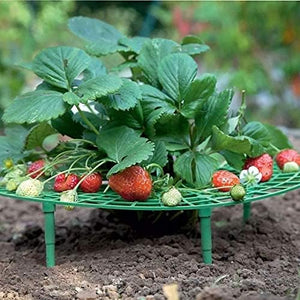 5 Pack Strawberry Plant Support - Strawberry Growing Racks with 4 Sturdy Legs - Strawberry Growing Frame Keep Berries Clean