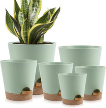 Load image into Gallery viewer, Indoor Self Watering Planters with Drainage Holes and Saucers, 8, 7, 6.5, 6, 5.5, 5 Inches, Green, 6 Pots
