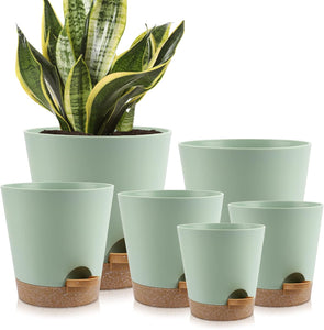 Indoor Self Watering Planters with Drainage Holes and Saucers, 8, 7, 6.5, 6, 5.5, 5 Inches, Green, 6 Pots