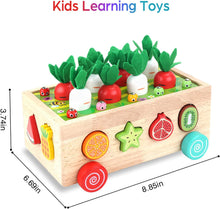 Load image into Gallery viewer, Toddlers Montessori Wooden Educational Toys for Baby Boys Girls Age 1 2 3 Year Old, Shape Sorting Toys 1st One First Birthday Girl Gifts for Kids 1-3, Wood Preschool Learning Fine Motor Skills Game
