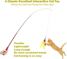 Load image into Gallery viewer, Interactive Cat Toys - Retractable Wand Toy and Feather Toys Refills for Indoor Cats to Chase and Exercise
