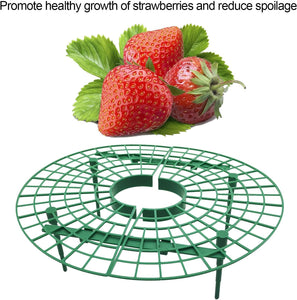 5 Pack Strawberry Plant Support - Strawberry Growing Racks with 4 Sturdy Legs - Strawberry Growing Frame Keep Berries Clean