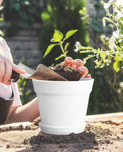 Pots for Plants, 15 Pack 6 inch Plastic Planters with Multiple Drainage Holes and Trays - Plant Pots for All Home Garden Flowers Succulents (White)