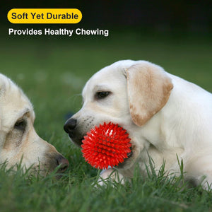 3.5” Squeaky Dog Toy Balls (6 Colors) Puppy Chew Toys for Teething, BPA Free Non-Toxic, Spikey Medium, Large & Small Dogs, Durable Aggressive Chewers