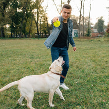 Load image into Gallery viewer, 3.5” Squeaky Dog Toy Balls (6 Colors) Puppy Chew Toys for Teething, BPA Free Non-Toxic, Spikey Medium, Large &amp; Small Dogs, Durable Aggressive Chewers
