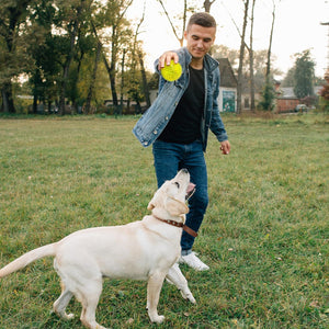 3.5” Squeaky Dog Toy Balls (6 Colors) Puppy Chew Toys for Teething, BPA Free Non-Toxic, Spikey Medium, Large & Small Dogs, Durable Aggressive Chewers