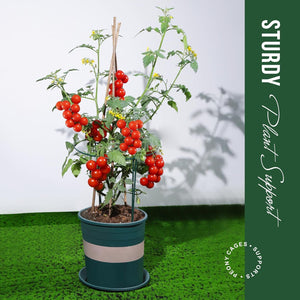 Plant Stakes, 6 Pack Plant Support Stakes, Plant Support, Peony Cages and Supports, Garden Stakes Plant Stakes and Supports for Outdoor Indoor Plants, Monstera Peony Tomato, 9.8" W x 15.7" H