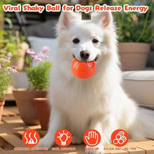 Load image into Gallery viewer, Wholesale: Pet Dog Energy-Burning Ball
