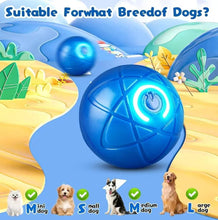 Load image into Gallery viewer, Wholesale: Pet Dog Energy-Burning Ball
