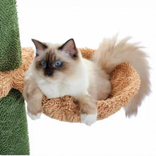 Load image into Gallery viewer, MeowSir Cat Tree 34 Inches Small Cat Tower with Padded Top Perch
