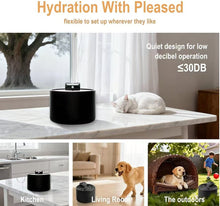 Load image into Gallery viewer, Wholesale: Ceramic Small Cat/Dog Water Fountain - Smart Pet Wireless Water Fountain | Cordless Cat Fountains for Drinking
